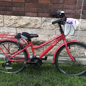 2019 Opus Rambler Red
