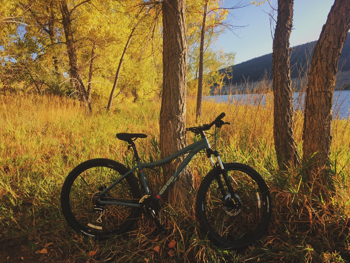 Bike photo