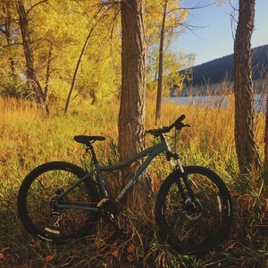 2018 REI DRT 1.1W Blue