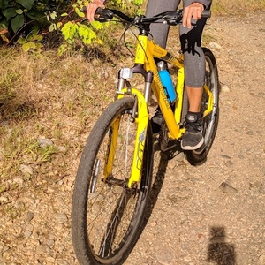 Specialized Yellow or Gold