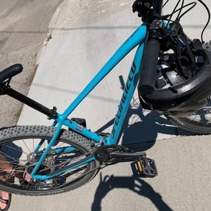 2019 Specialized Pitch 27.5 Teal