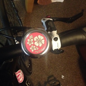 2014 Novara Big Buzz  Black