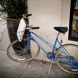Nishiki mixte  Blue