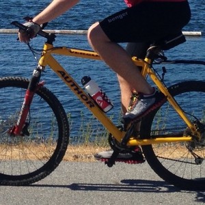 Author Mountain bike  Yellow or Gold