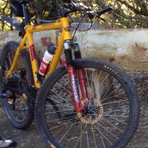 Author Mountain bike  Yellow or Gold