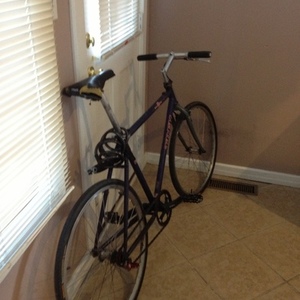 1997 Trek 850 Purple