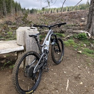 2019 Evil Insurgent Silver, gray or bare metal