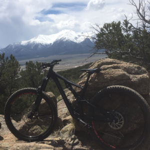 2019 Specialized Stumpjumper Black