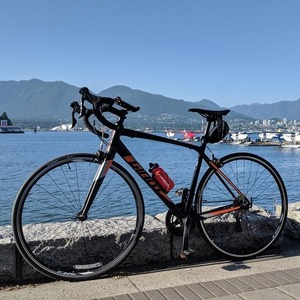 2018 Giant Contend Black and Orange