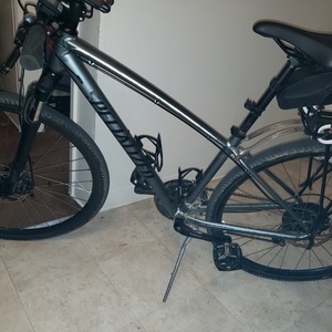 2019 Specialized Male Silver, gray or bare metal