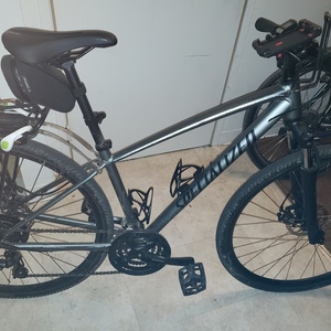2019 Specialized Male Silver, gray or bare metal