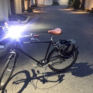 2017 Pure Cycles Black