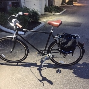 2017 Pure Cycles Black