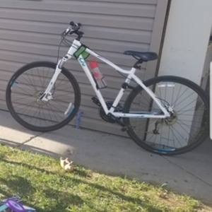 2016 Giant Rove 2 White