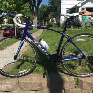 Specialized Purple