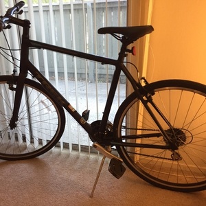 2019 Trek FX2 Silver, gray or bare metal