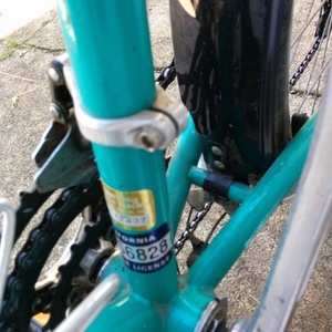 Specialized Hardrock  Green