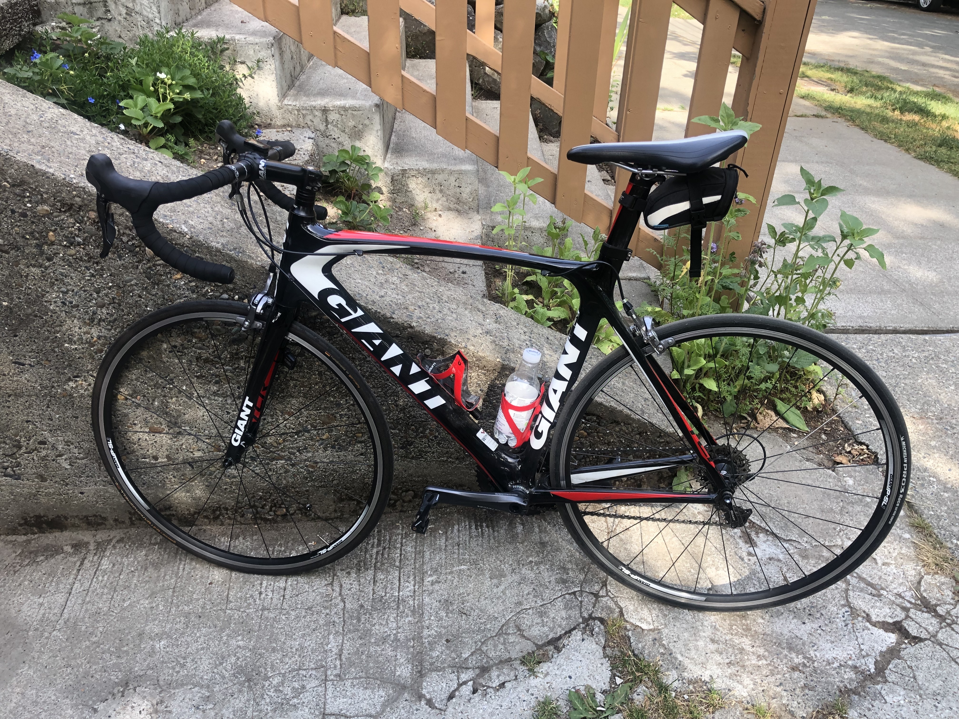 giant tcr black and white