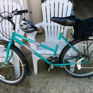 Specialized Hardrock  Green