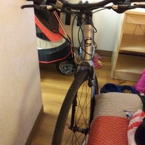 Cannondale Mountain bike Silver, gray or bare metal, Blue, and Black