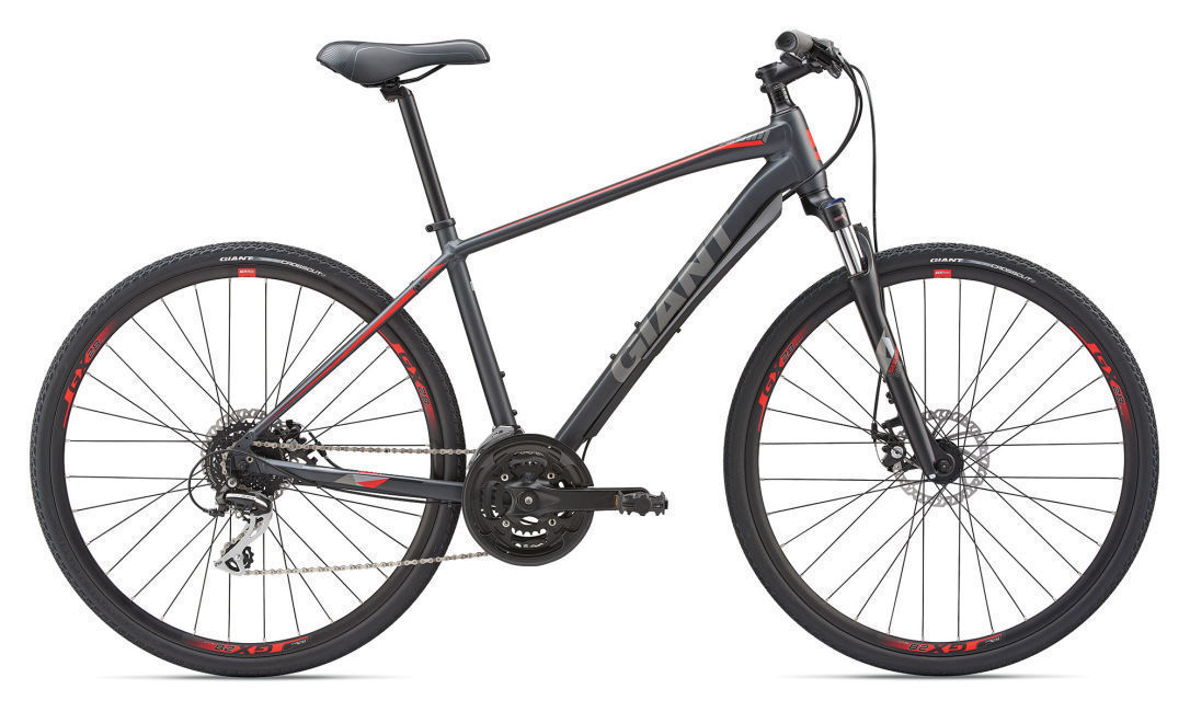 2019 giant roam