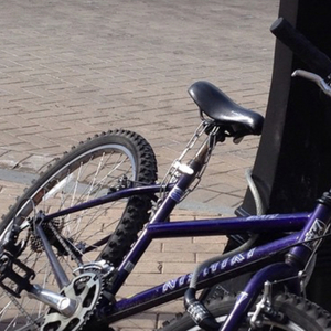 Nishiki Women's Hybrid Purple