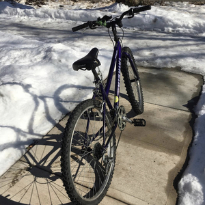 Nishiki Women's Hybrid Purple