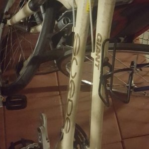 2006 Giant Suede SS W Yellow or Gold