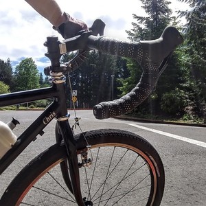 1988 Schwinn Essence Black