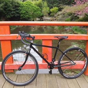 1988 Schwinn Essence Black