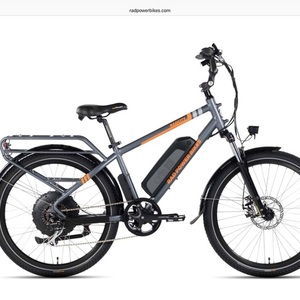 2018 Rad Power Bikes Rad City Silver, gray or bare metal