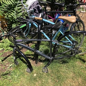 Raleigh Silver, gray or bare metal