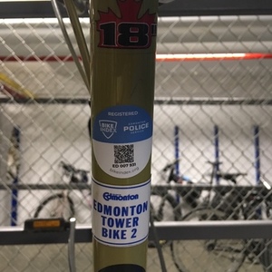 Norco Bikes Silver, gray or bare metal and Yellow or Gold