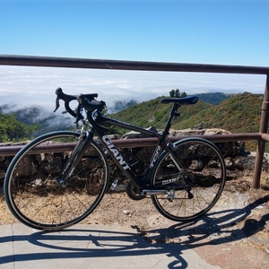 Giant TCR ADVANCED 2 Black