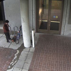 Palo Alto Single speed road bike  Blue