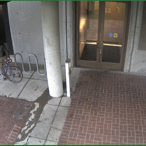 Palo Alto Single speed road bike  Blue