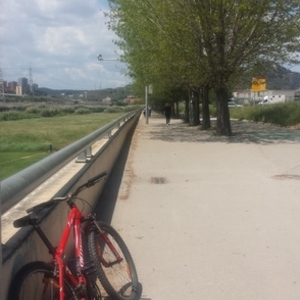 Specialized Hardrock Red