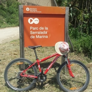 Specialized Hardrock Red
