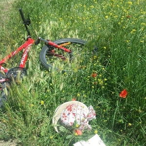 Specialized Hardrock Red