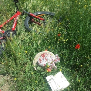 Specialized Hardrock Red
