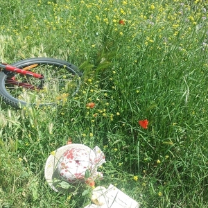 Specialized Hardrock Red