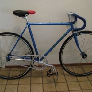 Palo Alto Single speed road bike  Blue