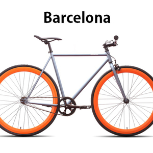 2014 6KU Barcelona  Silver or Gray