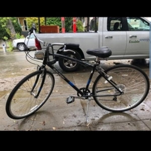 Raleigh Black and Blue