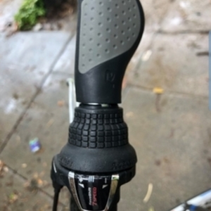 Raleigh Black and Blue