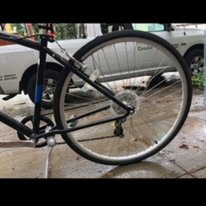 Raleigh Black and Blue