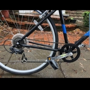 Raleigh Black and Blue