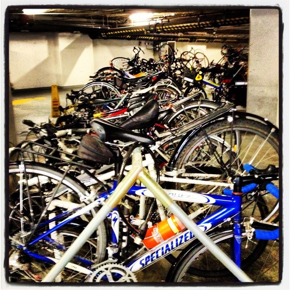 specialized allez 24