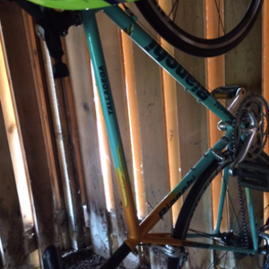Bianchi Celeste Teal and Yellow or Gold