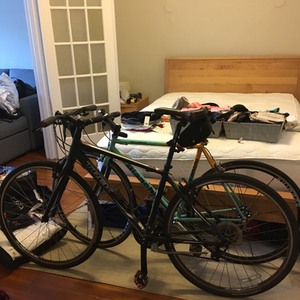 Bianchi Celeste Teal and Yellow or Gold
